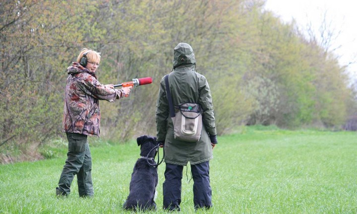 Jagdhunde Einzelstunden 1