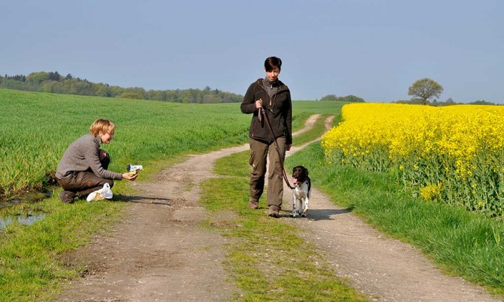 Jagdhunde Einzelstunden 2