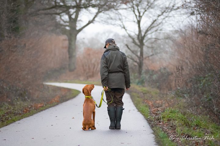 Wie-lernt-mein-Hund-Homepage